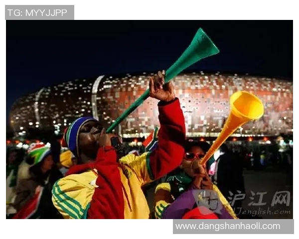 南非世界杯：当vuvuzela奏响的永恒旋律，唤醒尘封的足球记忆